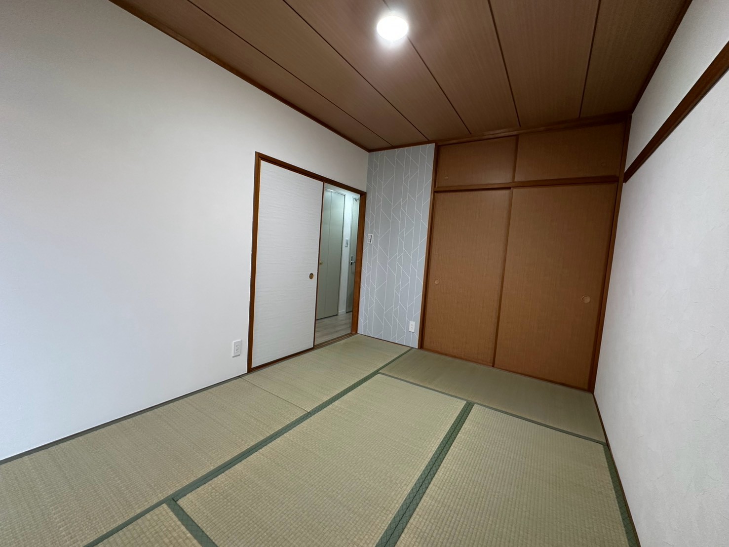 2026.9/Cosmo tsuruse tatami